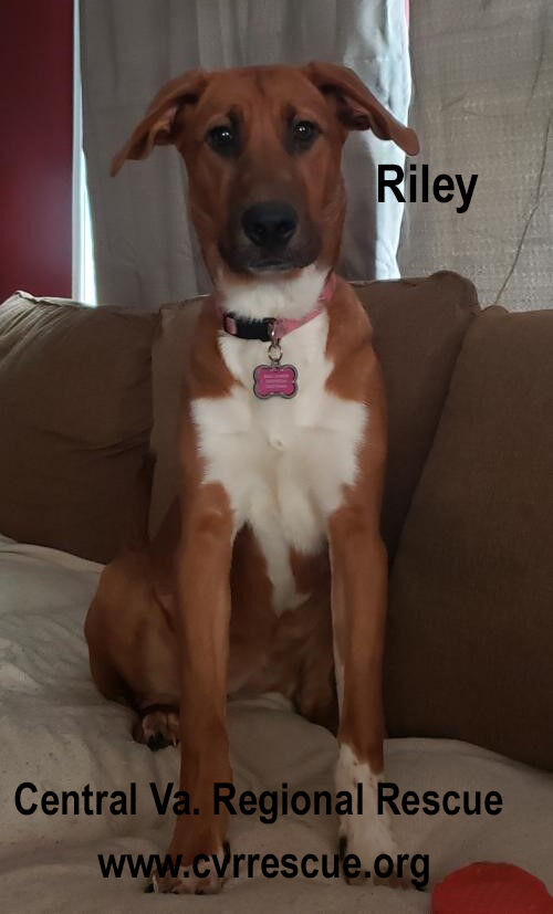 Riley